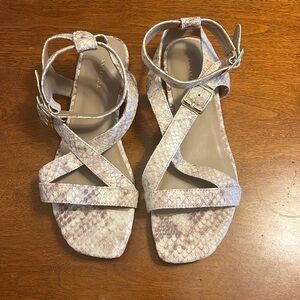 Ann Taylor snake skin sandal.